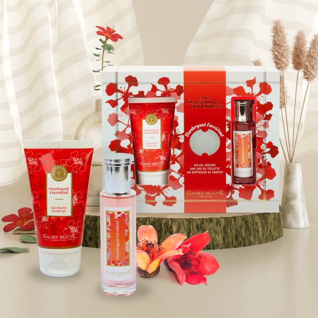 copy of GIFT BOX WITCH HAZEL